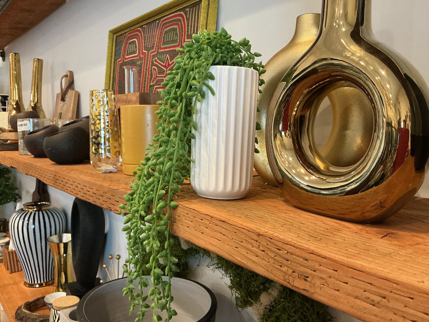 White Ribbed Vase w/ Succulent