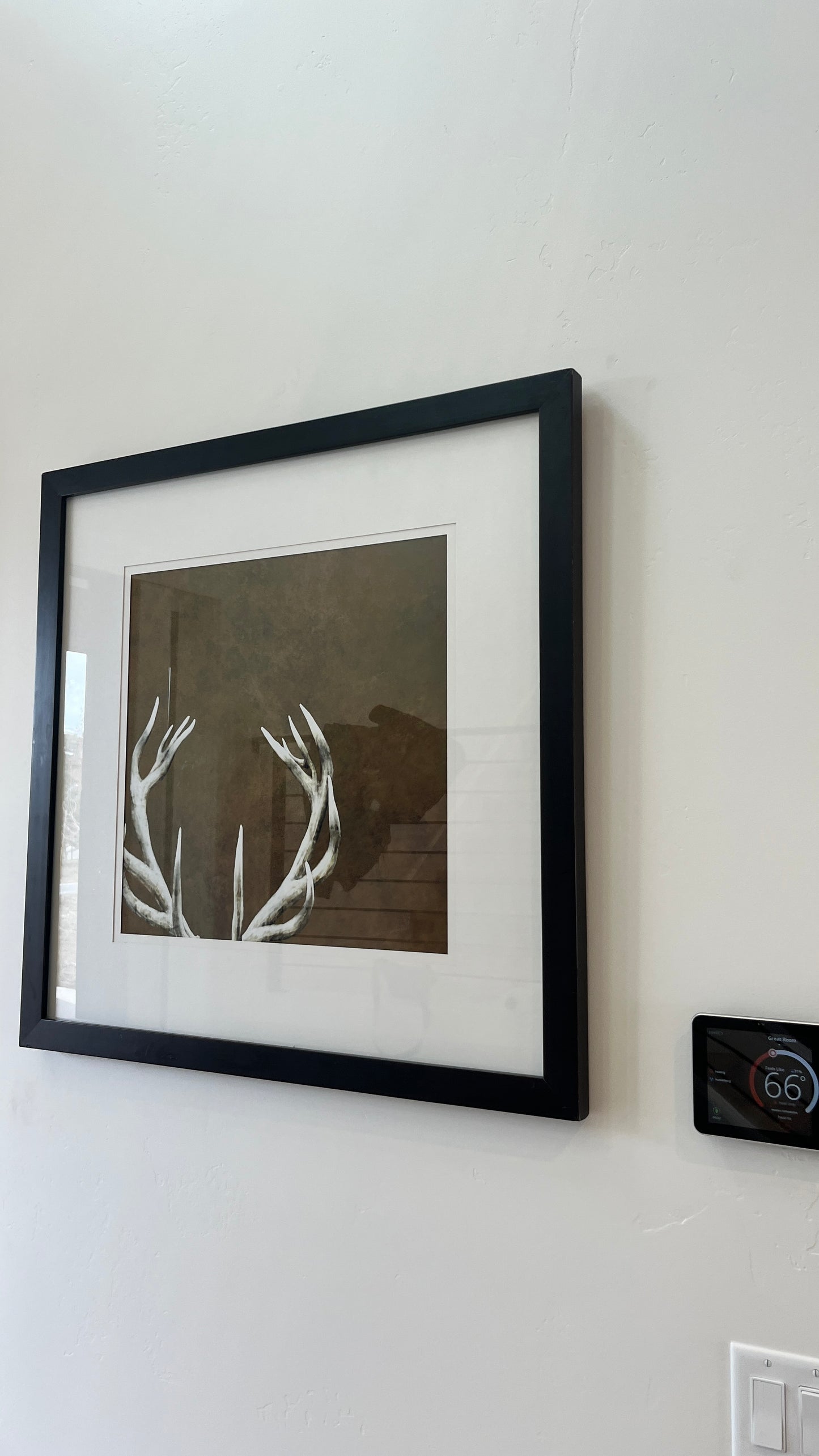 Deer Wall Art