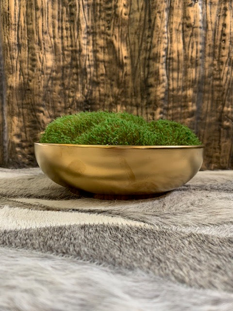 Faux Moss Planter