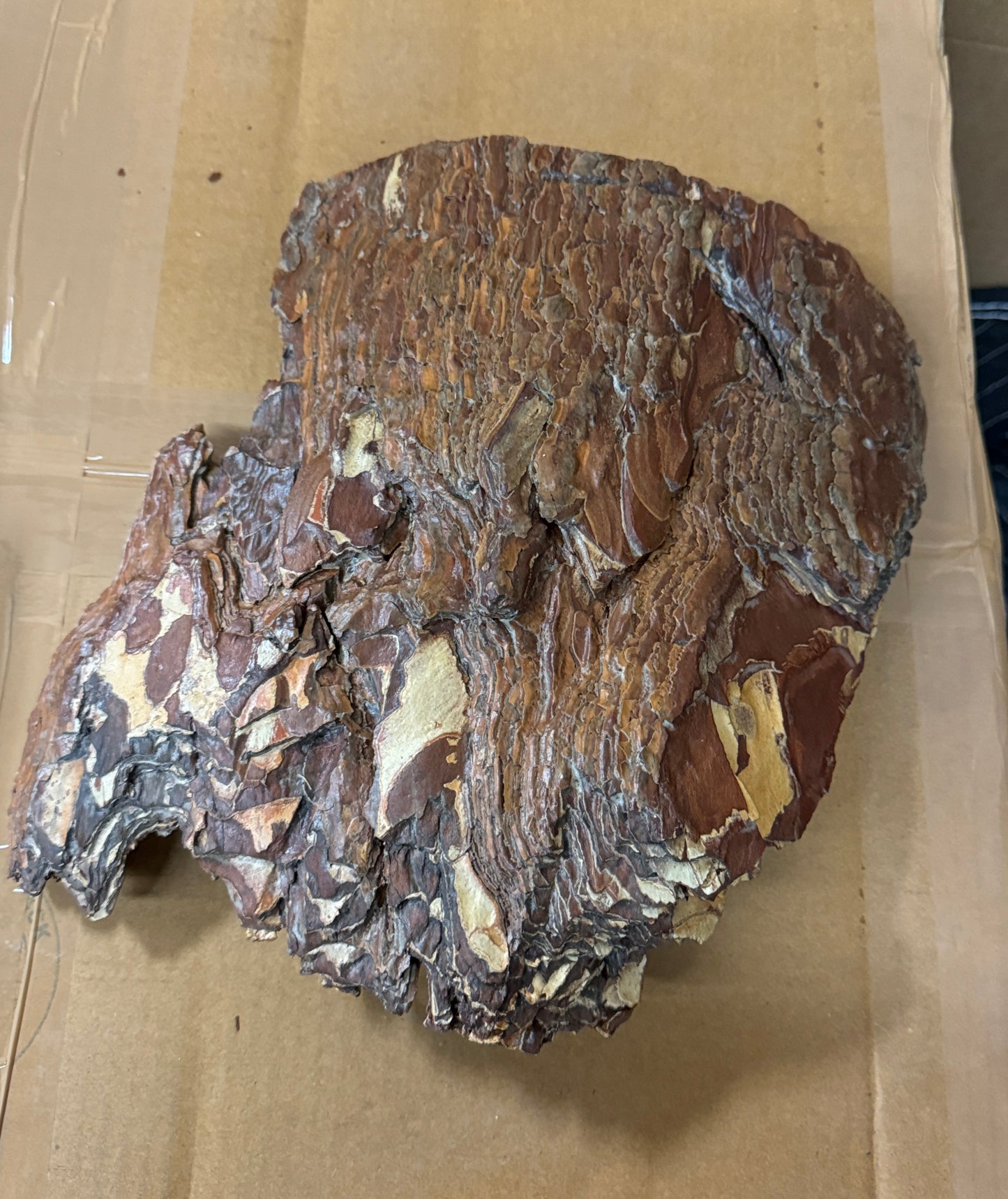 Bark Wall Hanging