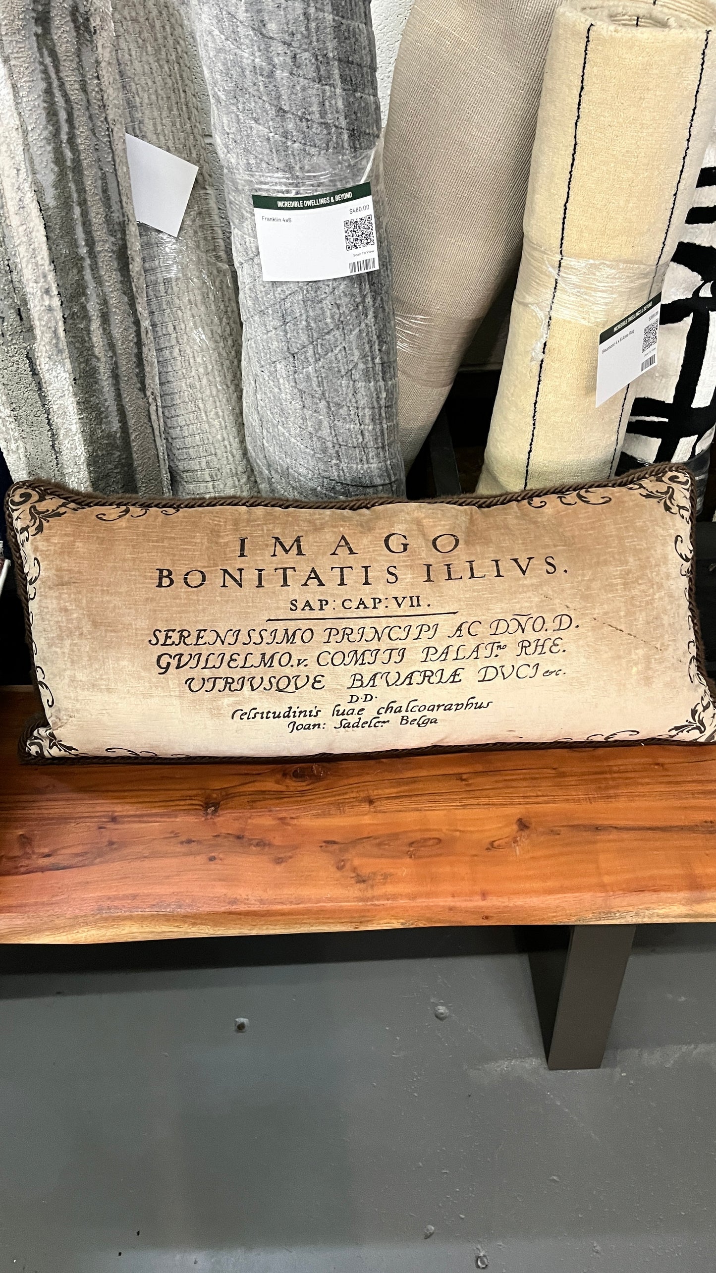 Imago Bonitatis Pillow
