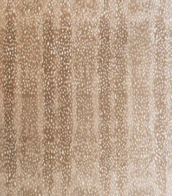 Tahara Area Rug 7x10