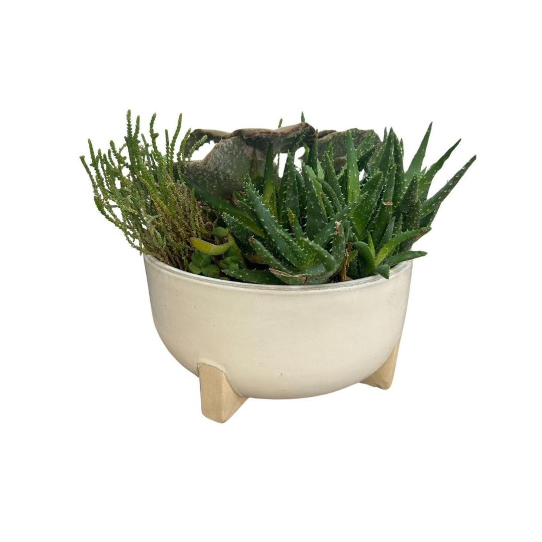 White Round Planter w/ Arrangement