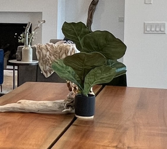 Planter Leaves