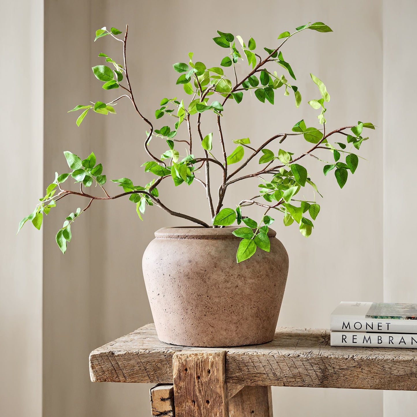 Faux Potted Bursera Plant