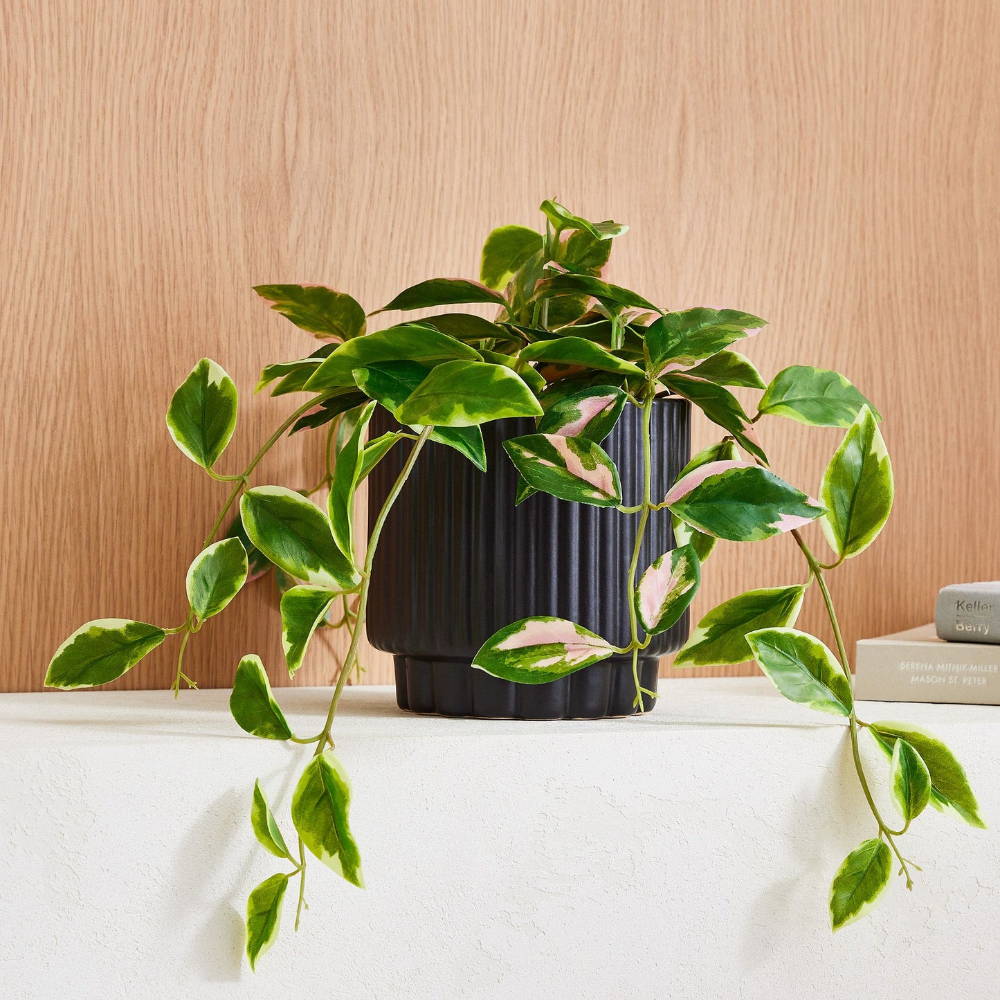 Faux Hoya Plant