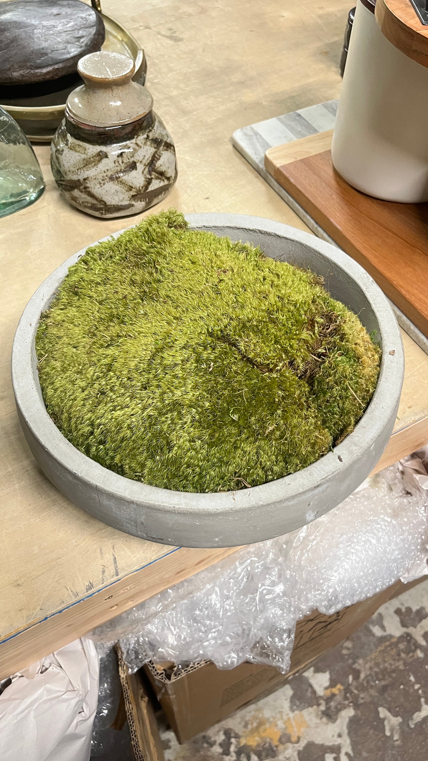 Moss Circle Island Vase