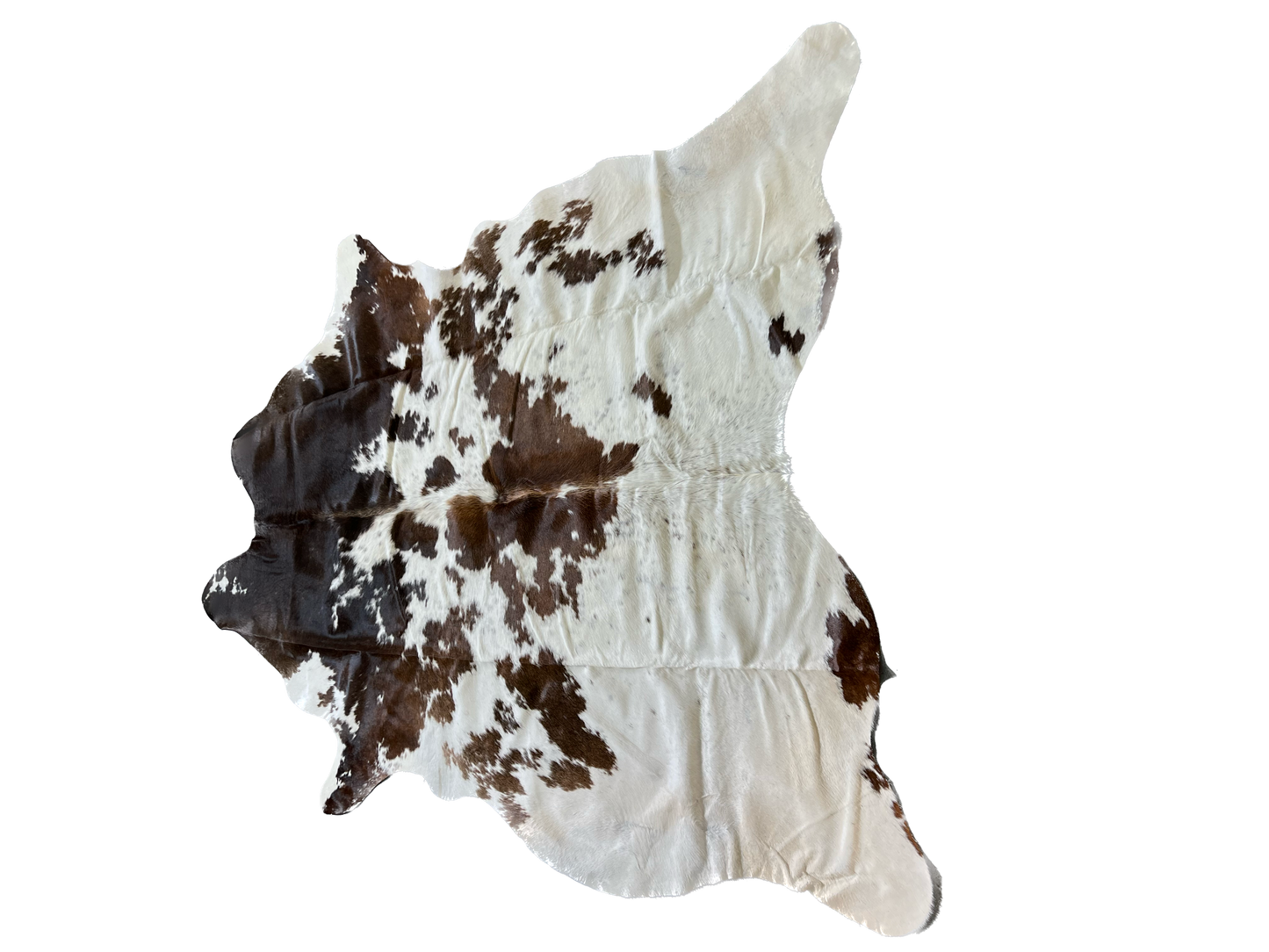 Chocolate and White X-Large Brazilian Cowhide Rug 6'6"H x 6'5"W