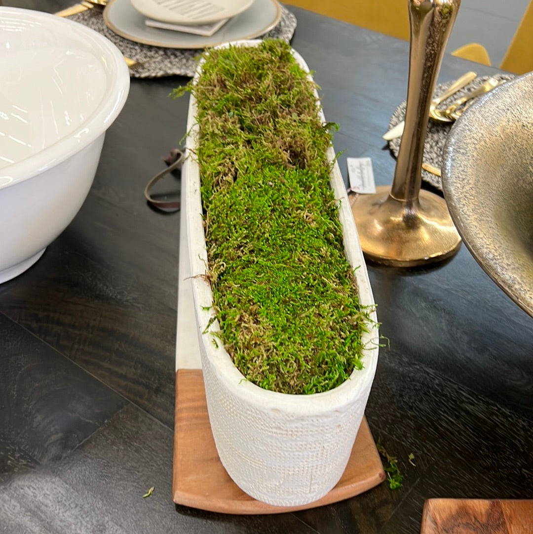 Arrangement with Moss
