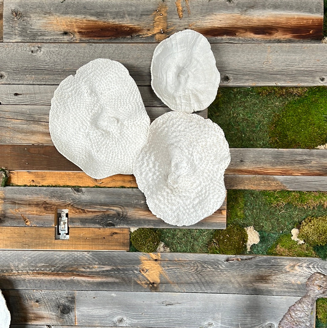 Coral wall art large