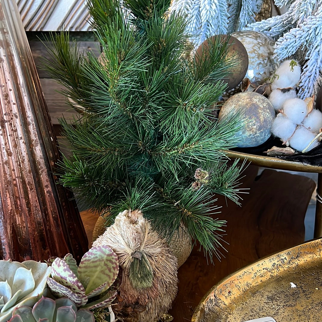 Small tree