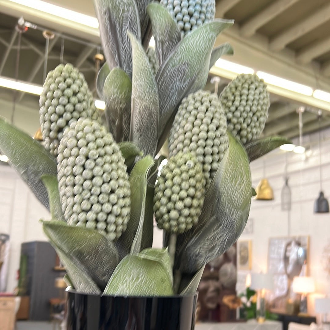 Plant Bundle