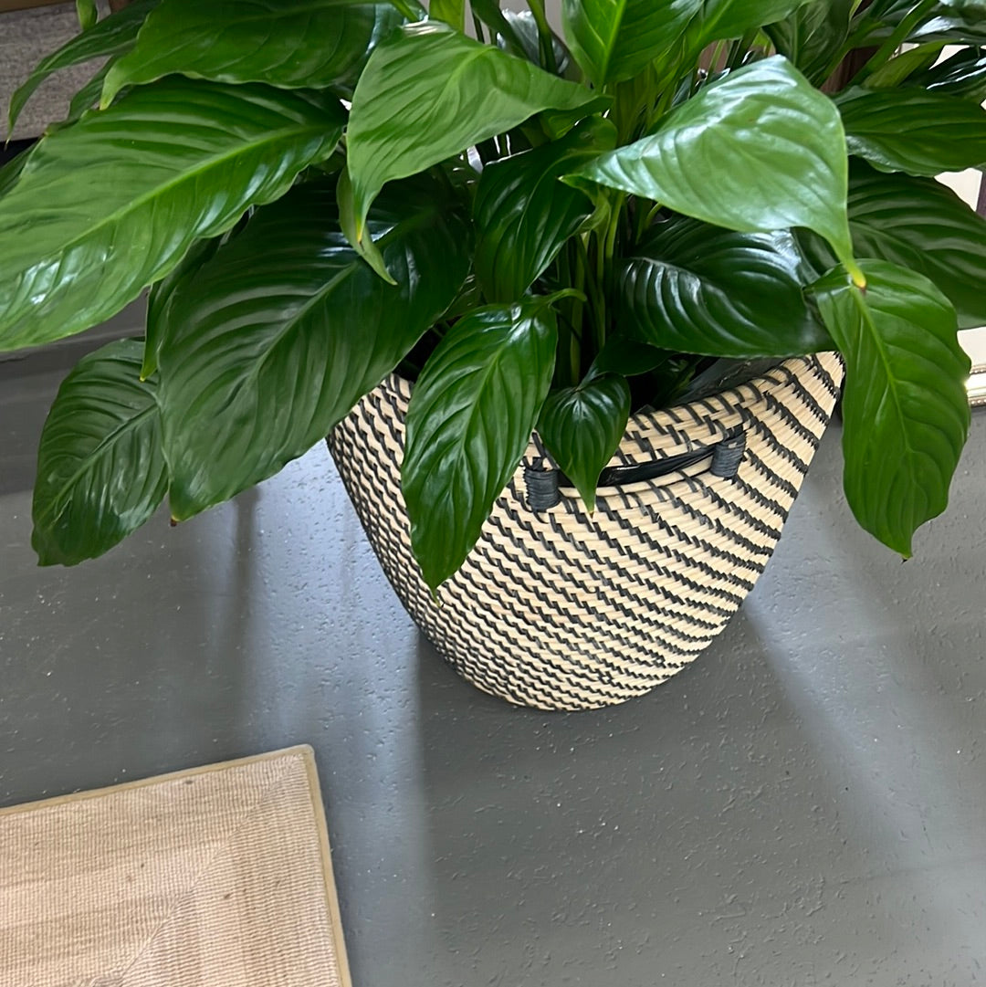 Grey and Natural Basket