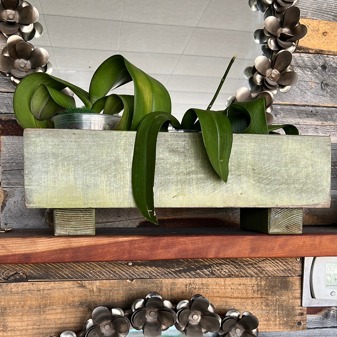 Green wood plant box
