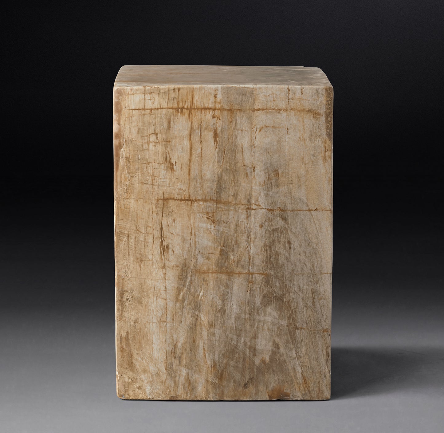 PETRIFIED WOOD CUBE SIDE TABLE