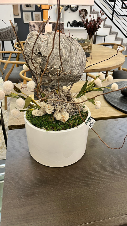 Wasp Planter