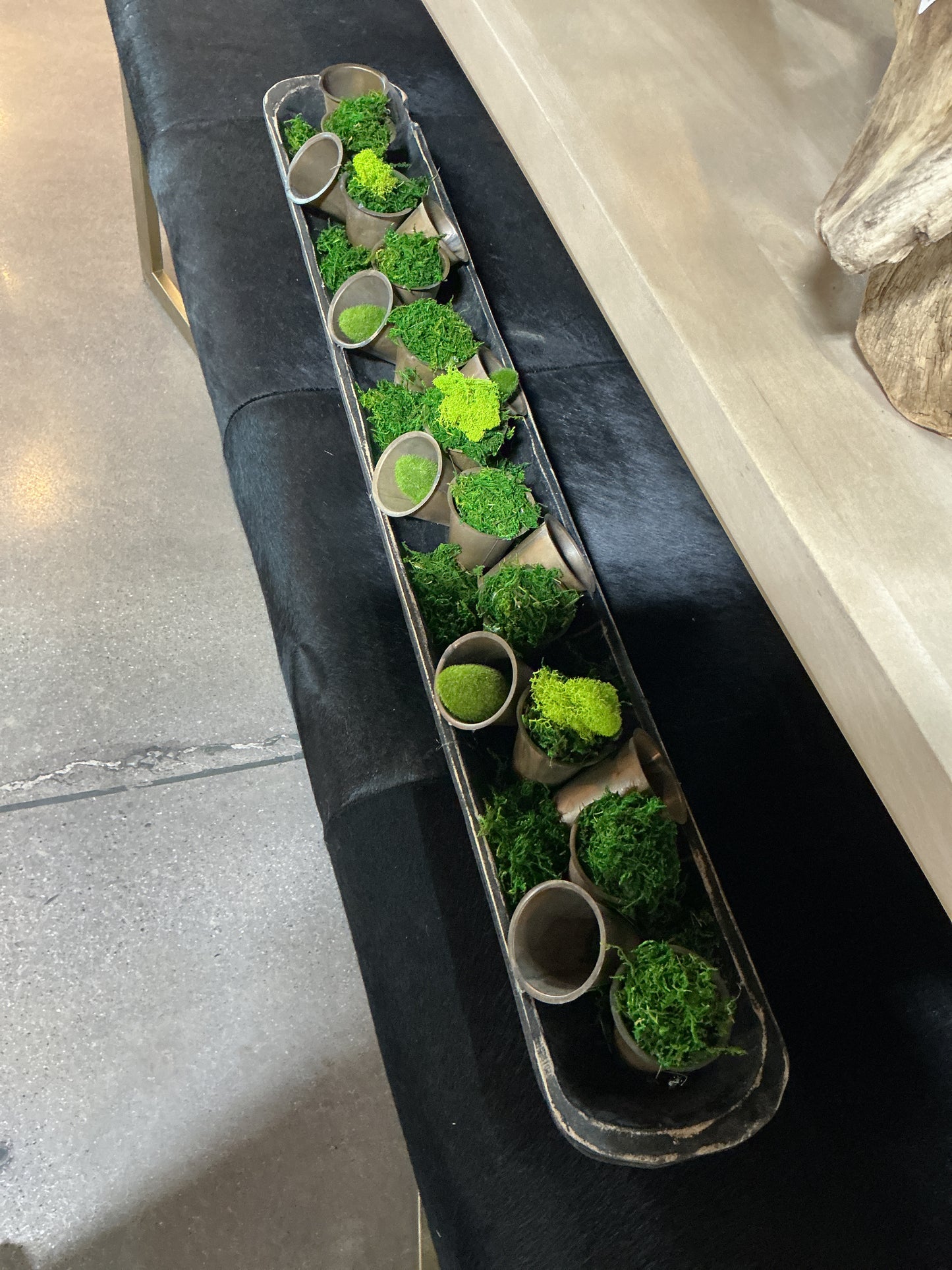 Moss plant design