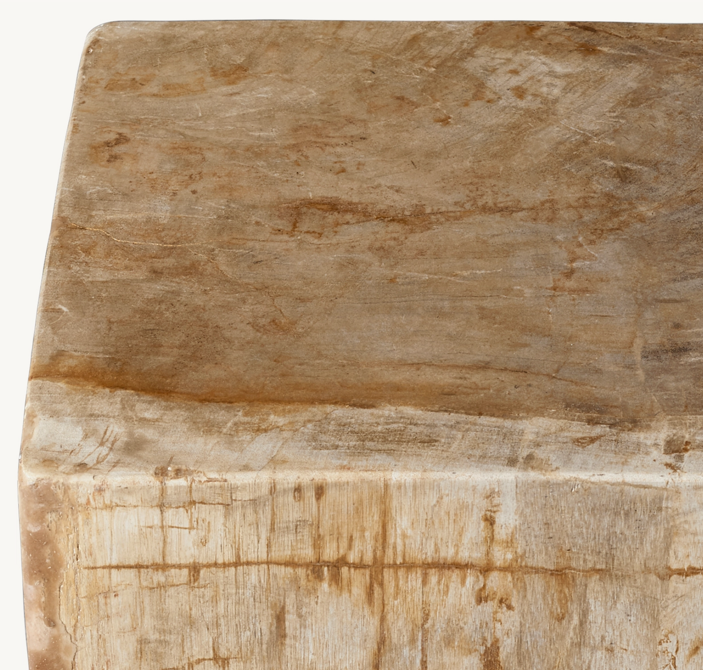 Petrified Wood End Table