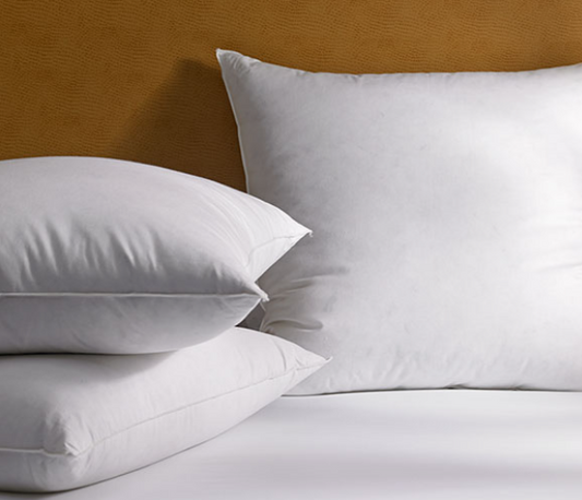 Euro Luxury Pillow