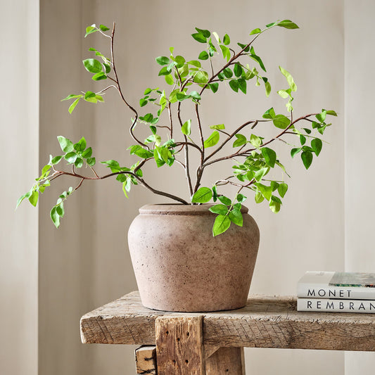 Faux Potted Bursera Plant