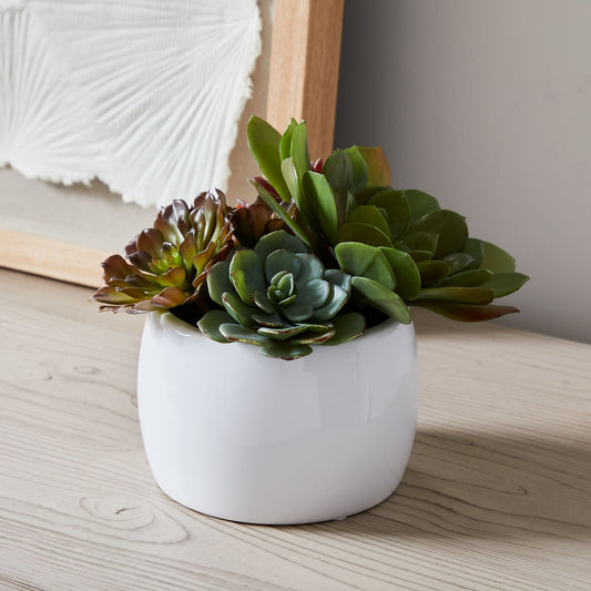 Faux Potted Succulent Arrangement