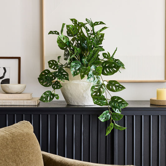 Faux Trailing Monstera
