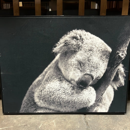 Koala Art