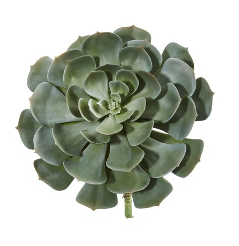 Faux Succulents