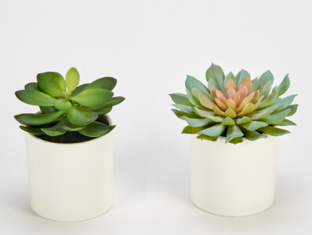 Faux Succulents