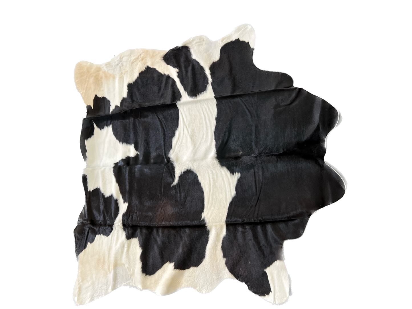 Black and White X-Large Brazilian Cowhide Rug 6'7"H x 6'3"W