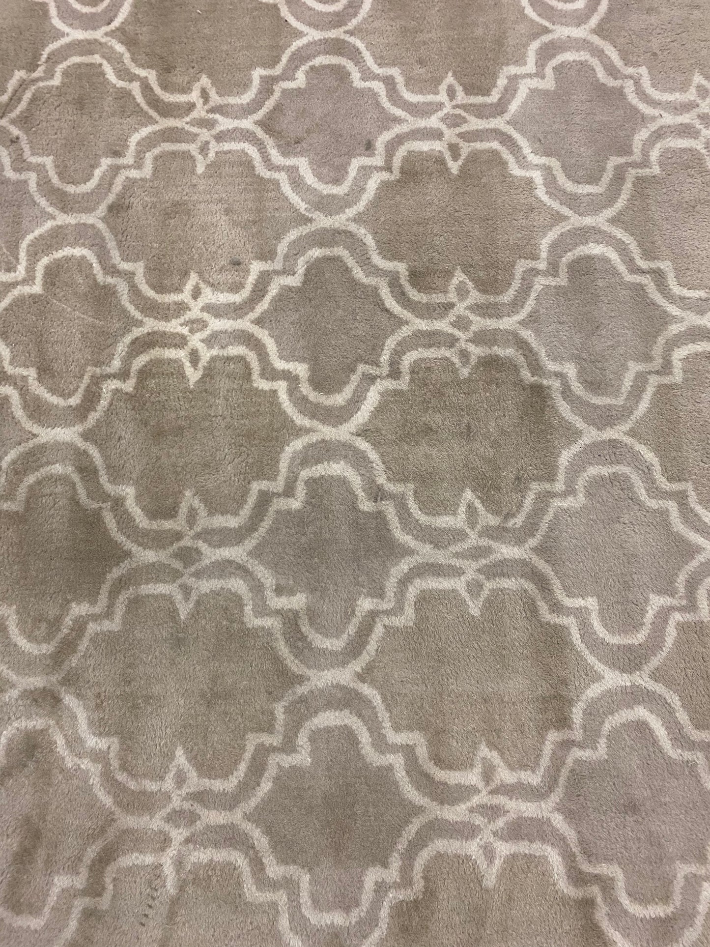 Large Tan 9x14 Area Rug