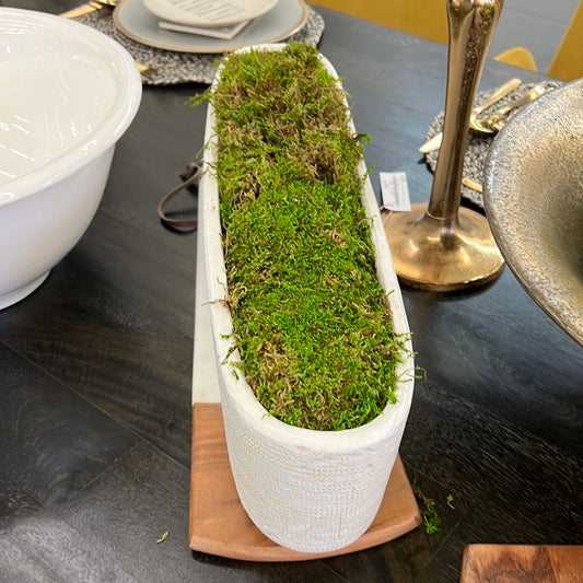 Arrangement with Moss
