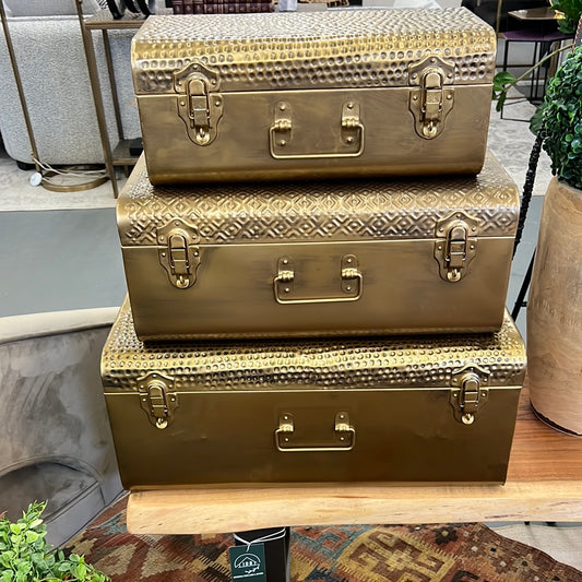Gold Trunk Md