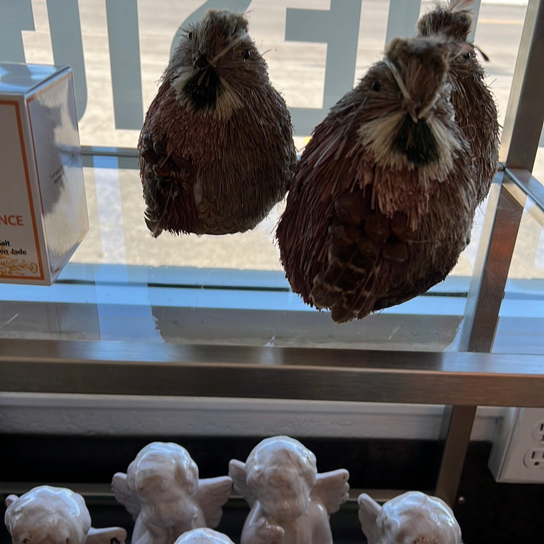Organic birds