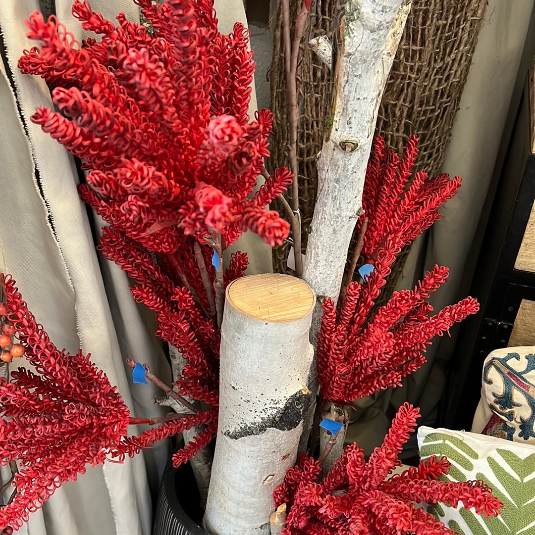 Red branch