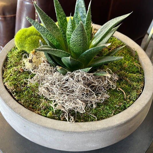 Faux concrete planter w/ plant