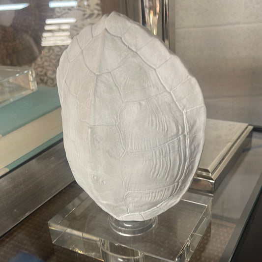 Turtle shell (small)