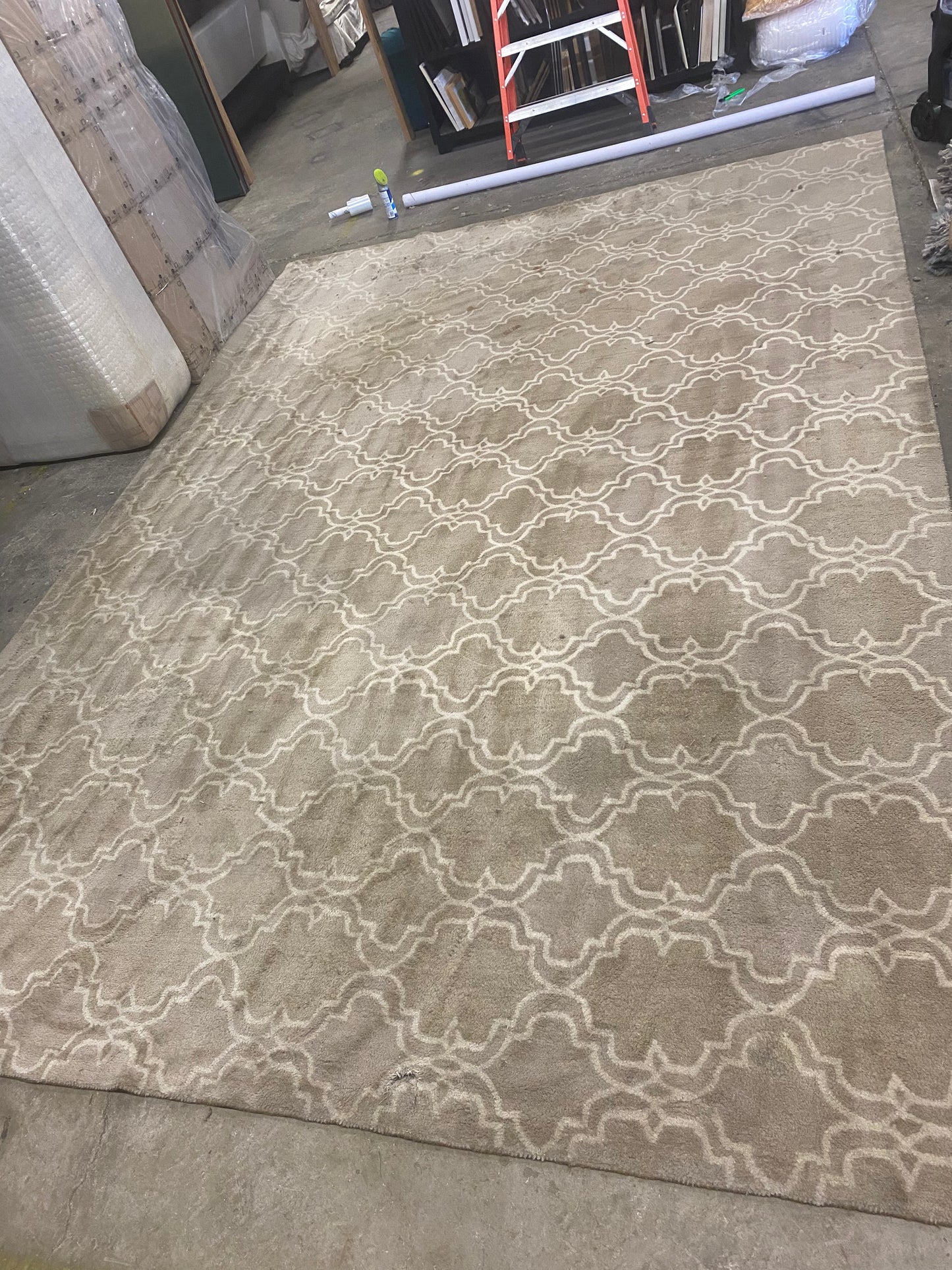 Large Tan 9x14 Area Rug