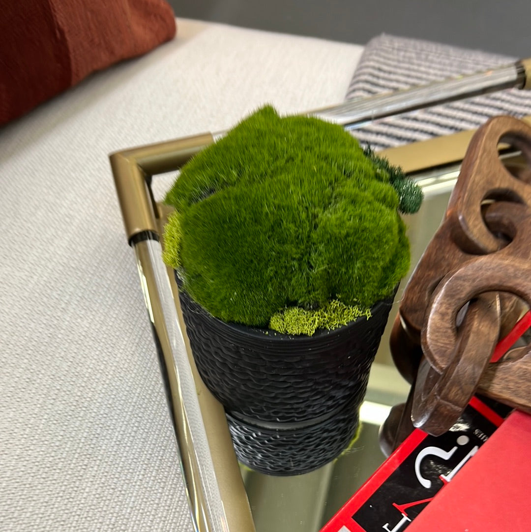 Textured Moss Pot
