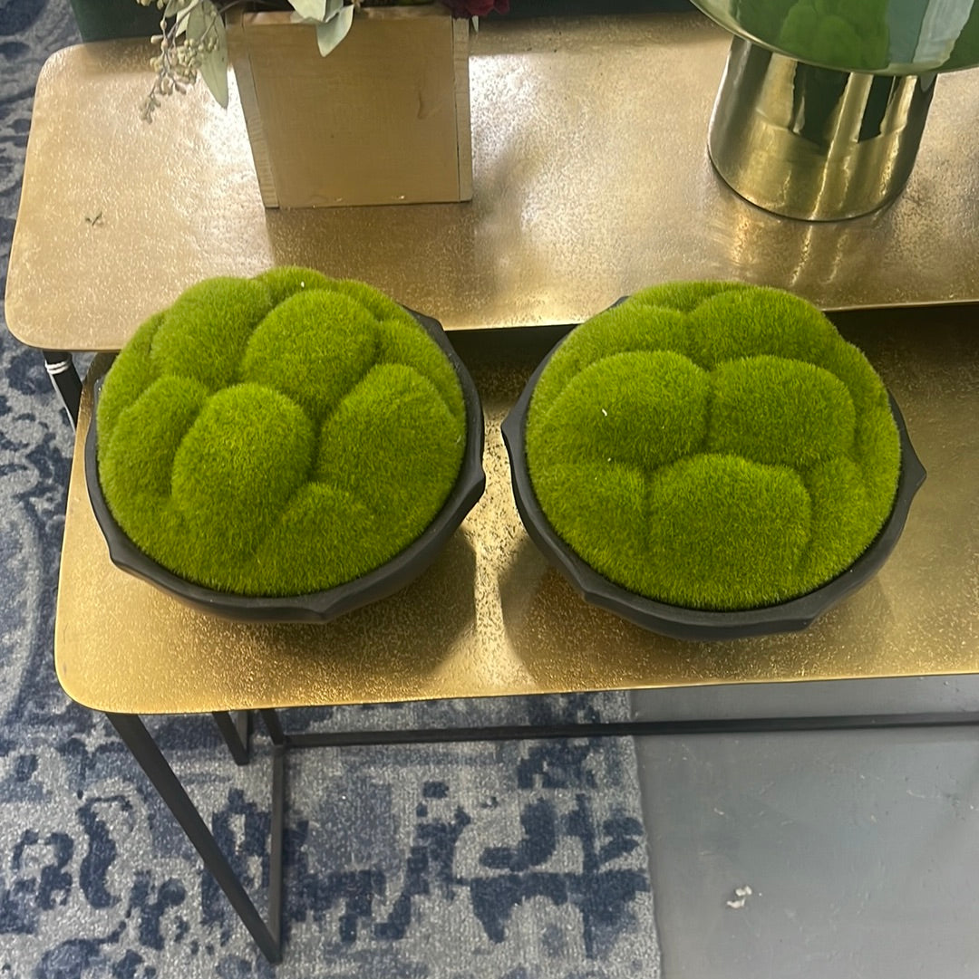 Moss Pot