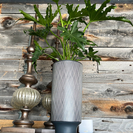 Black tall vase with skinny lines