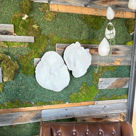 Coral wall art small
