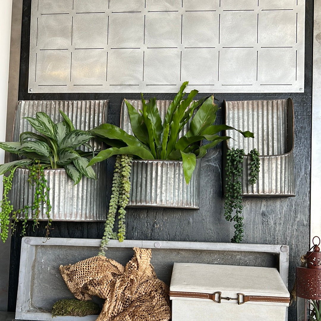 Metal wall planter M