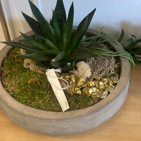Succulent planter