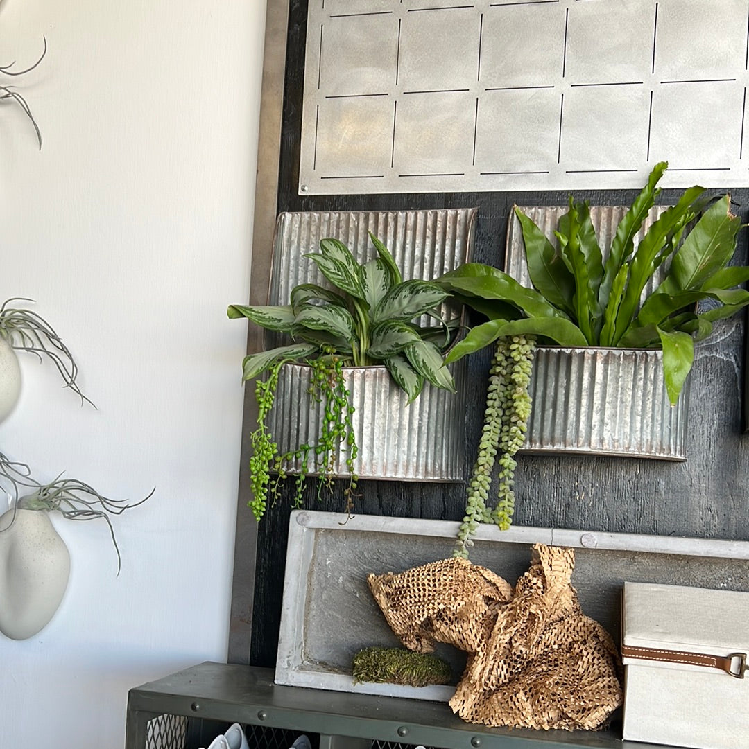 Metal wall planter L