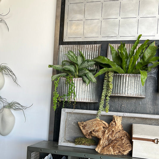 Metal wall planter L