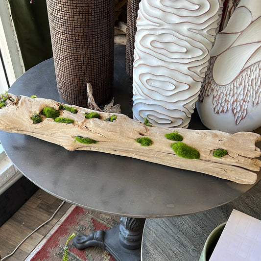 Moss decor