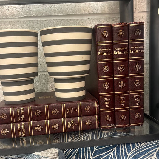 Book- Britalannica Small