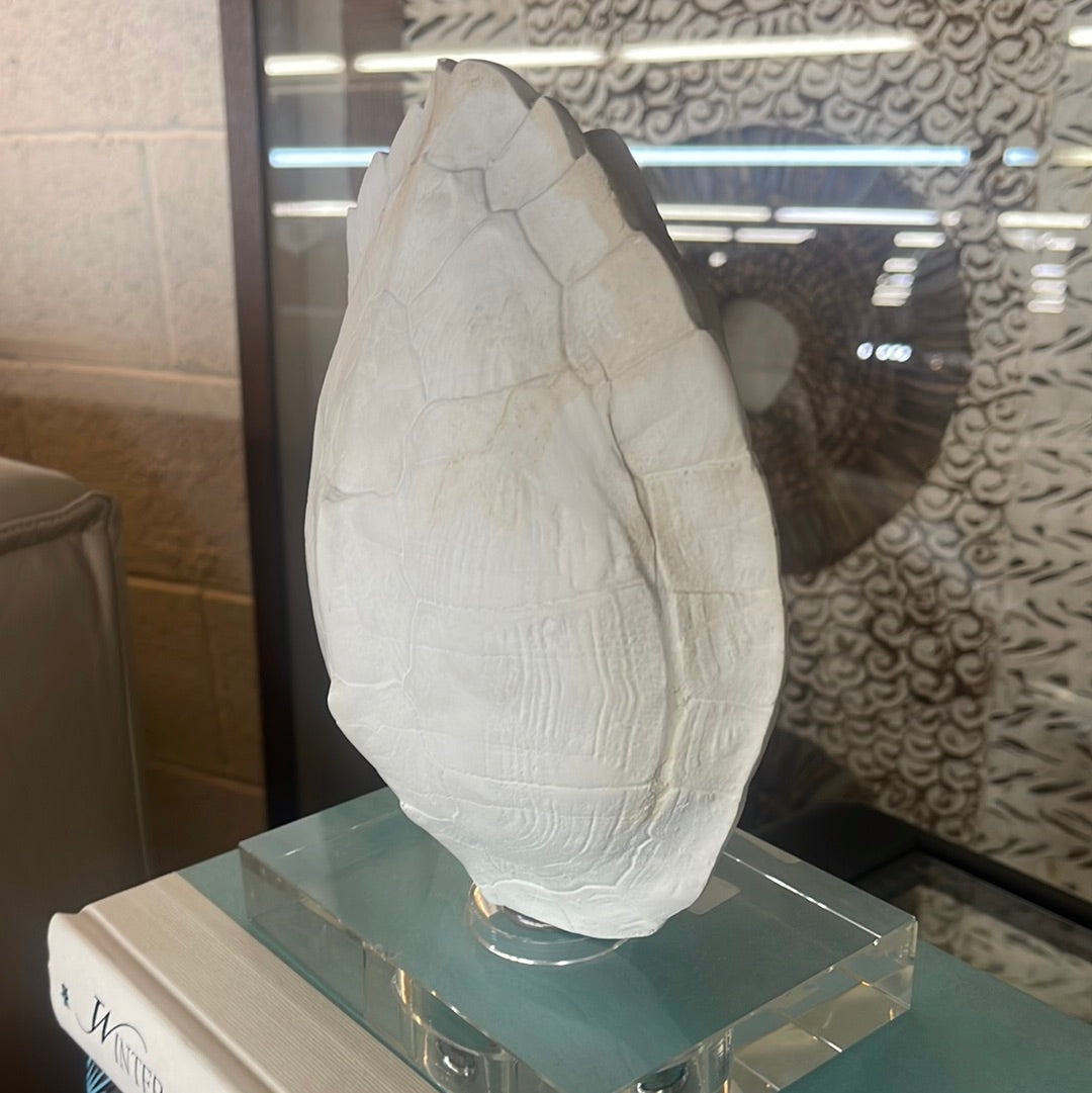 Turtle shell
