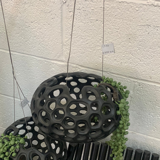 Black hanging planter with holes